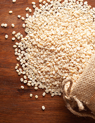 Feedback